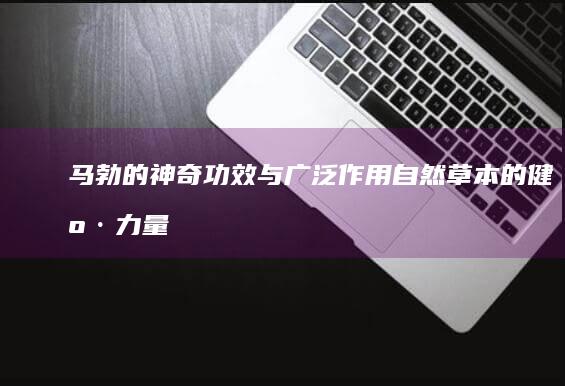 马勃的神奇功效与广泛作用：自然草本的健康力量